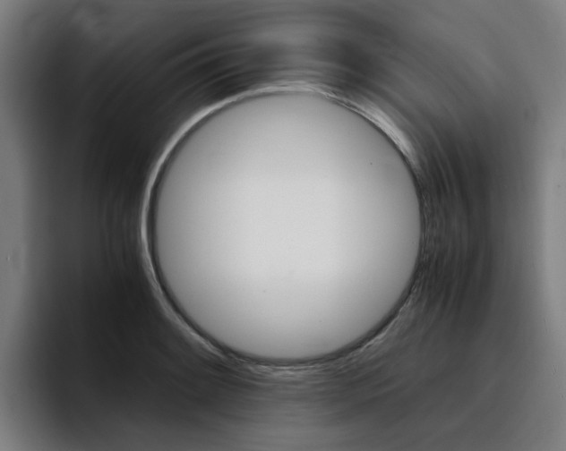 X0000094431084200711081014