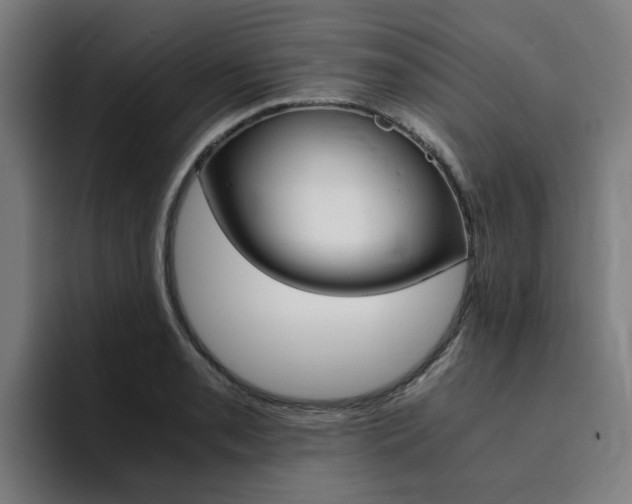 X0000094431085200711081014
