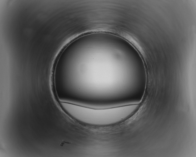 X0000094431093200711081014