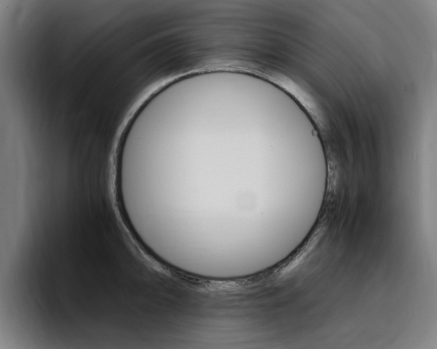 X0000094431094200711081014