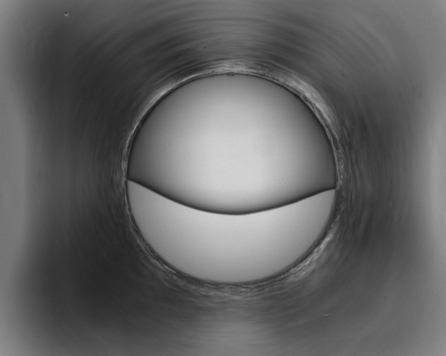 X0000094431097200711081014