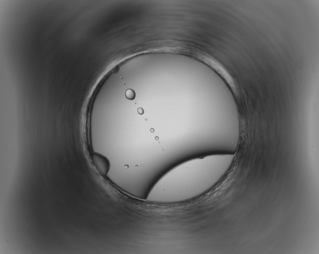 X0000094431099200711081014