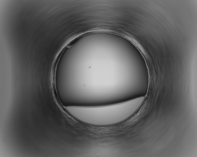 X0000094431101200711081014
