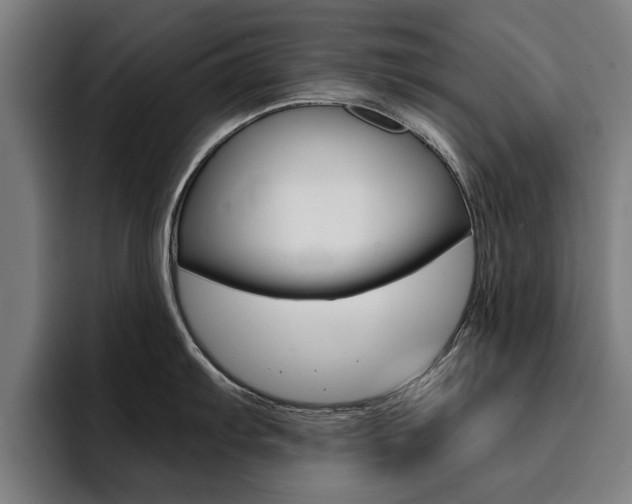 X0000094431103200711081014
