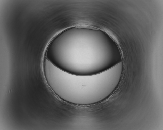 X0000094431104200711081014