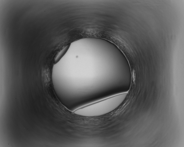 X0000094431107200711081013