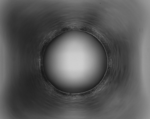 X0000094431108200711081013