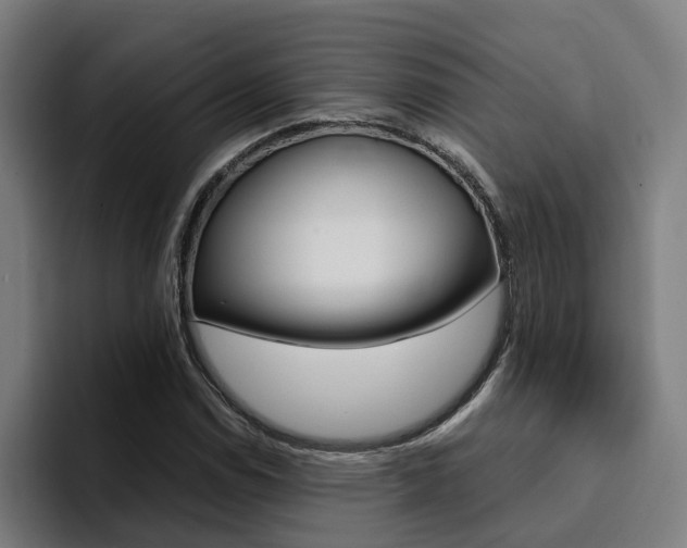 X0000094431114200711081013