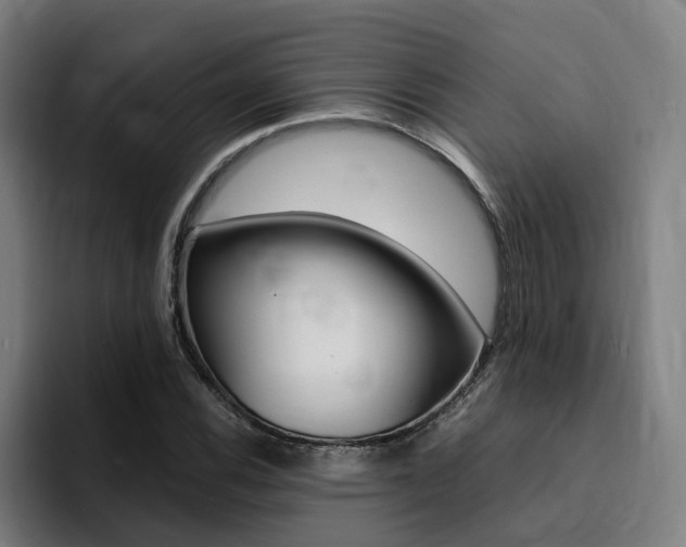 X0000094431116200711081013