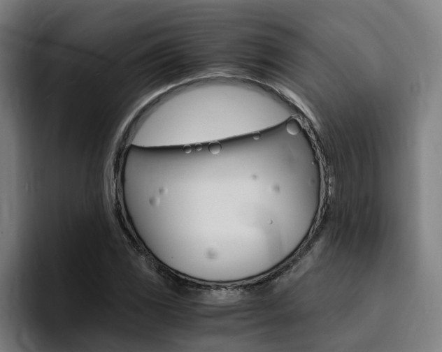 X0000094431117200711081013