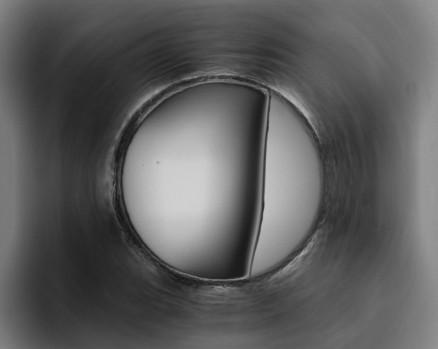 X0000094431119200711081013