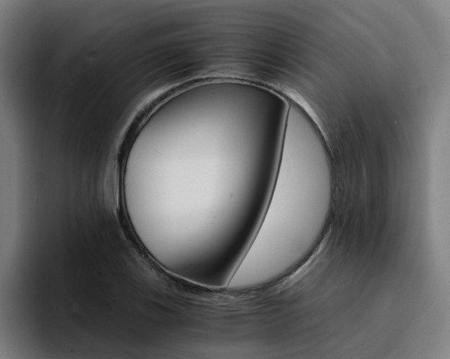 X0000094431123200711081013