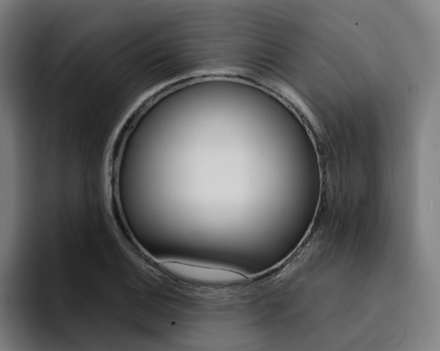 X0000094431124200711081013