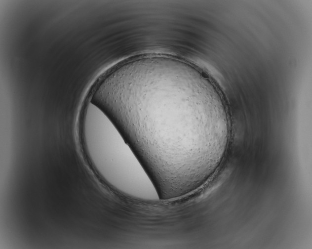 X0000094431125200711081013