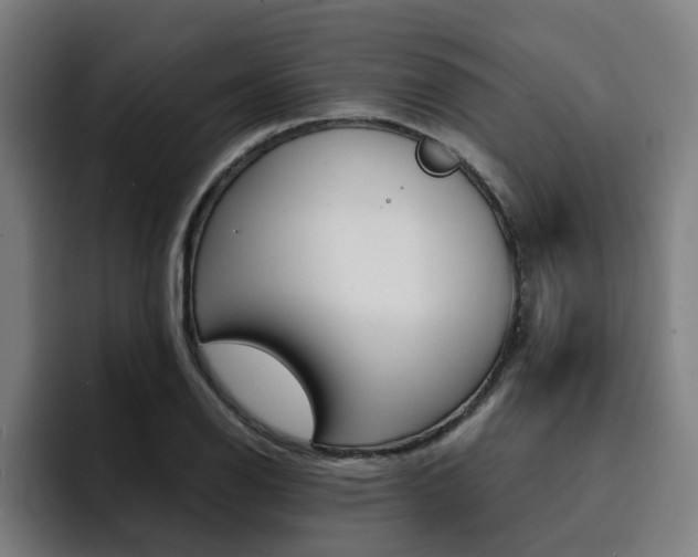 X0000094431126200711081013
