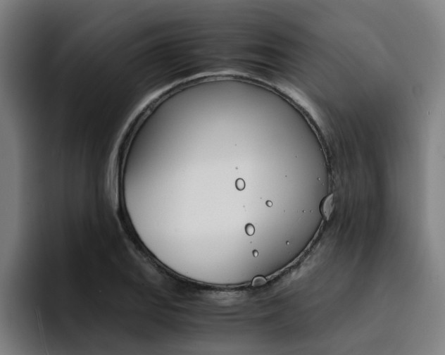 X0000094431127200711081013