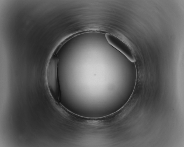 X0000094431132200711081014