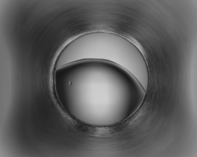 X0000094431144200711081014