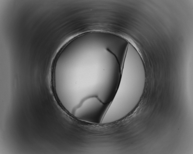 X0000094431147200711081014