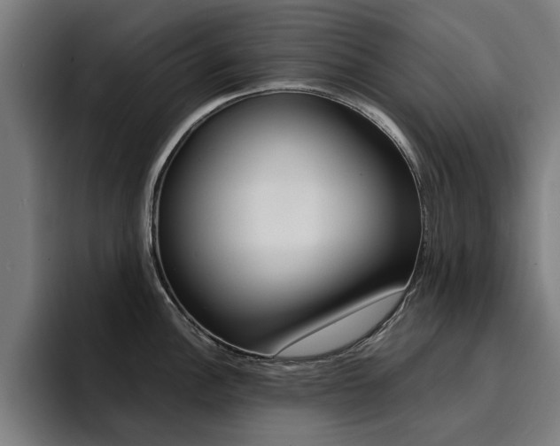 X0000094431148200711081014