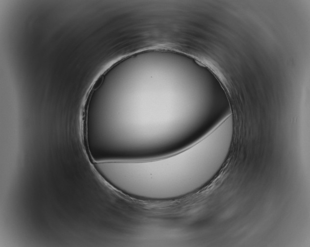 X0000094431151200711081014
