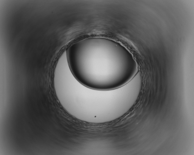 X0000094431160200711081013