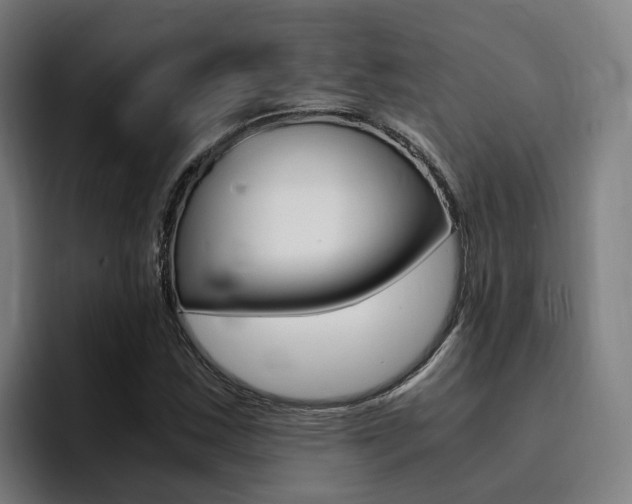 X0000094431163200711081013