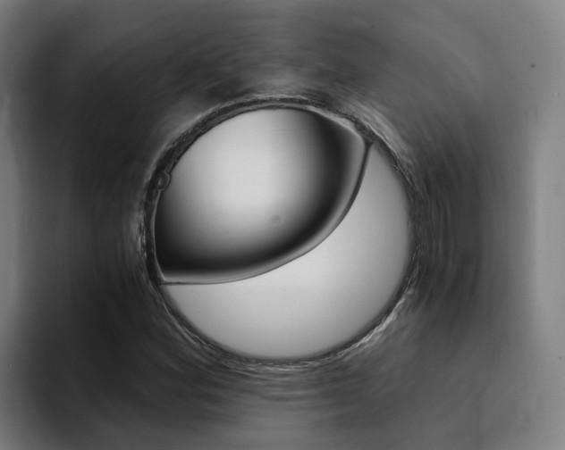 X0000094431164200711081013