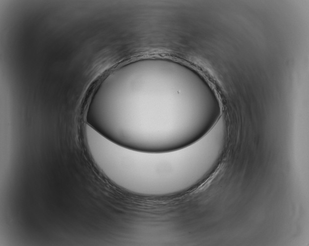 X0000094431165200711081013