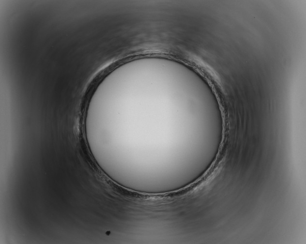 X0000094431166200711081013