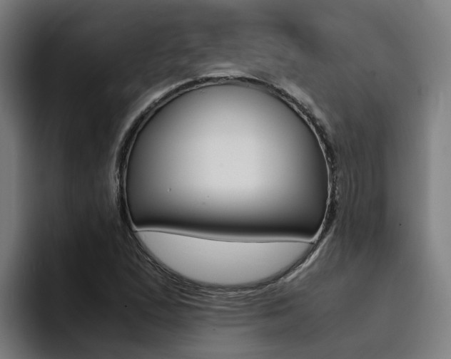 X0000094431167200711081013