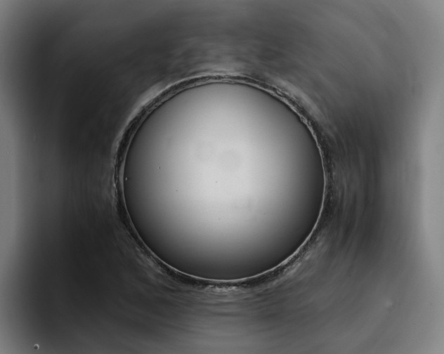 X0000094431168200711081013