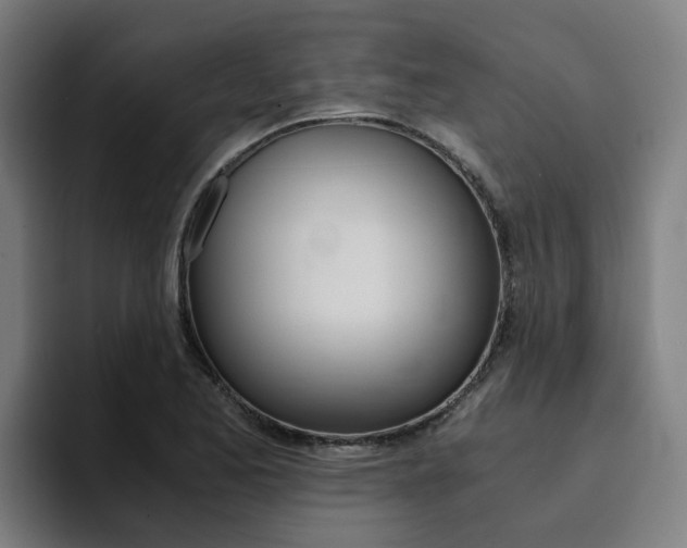 X0000094431173200711081013