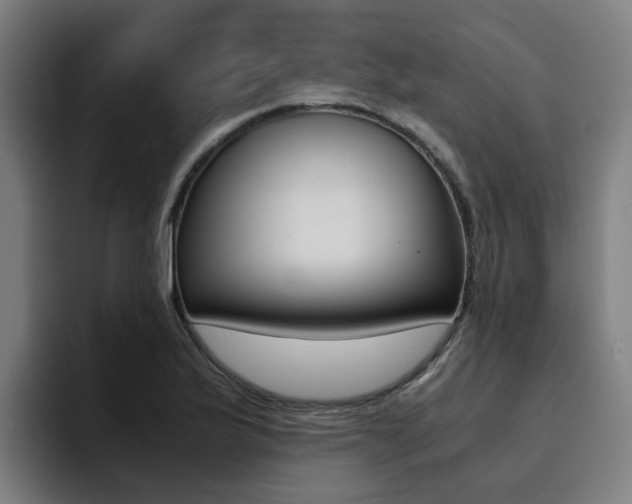 X0000094431175200711081013