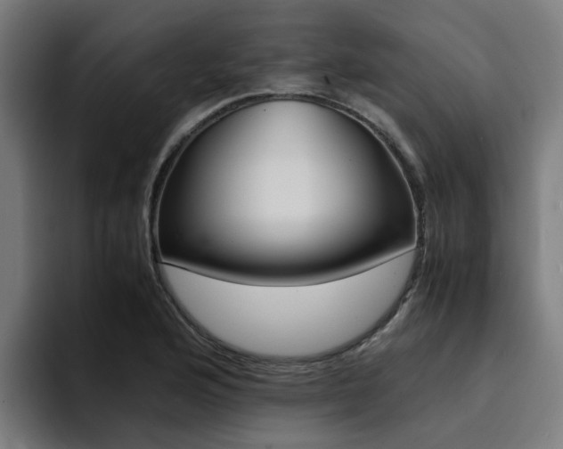 X0000094431176200711081013