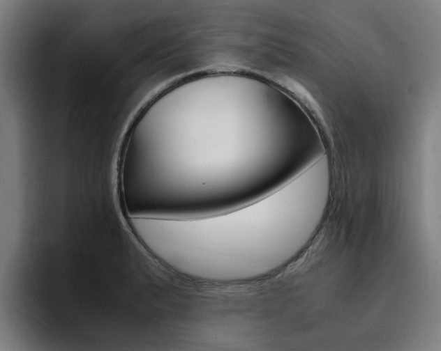 X0000094431183200711081013
