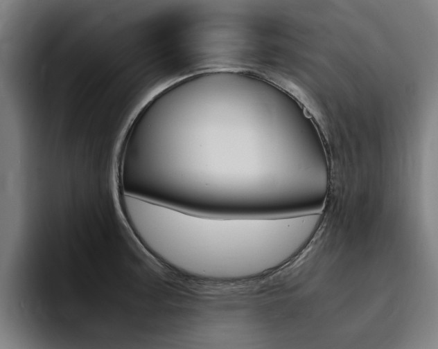 X0000094431187200711081013