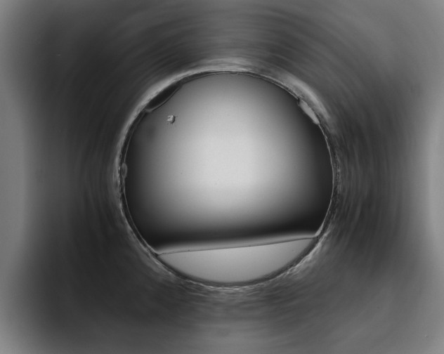 X0000094431192200711081012