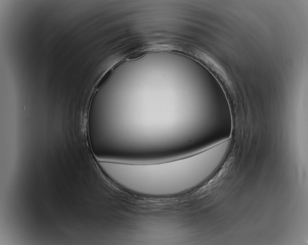X0000094431193200711081012