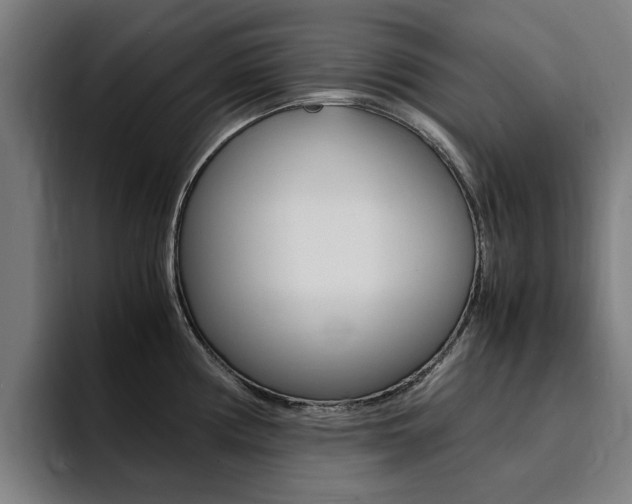 X0000094431194200711081012