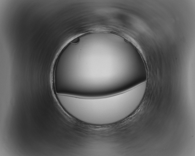 X0000094431195200711081012