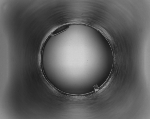 X0000094431196200711081012