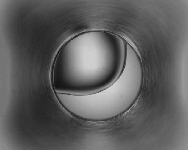 X0000094431197200711081012