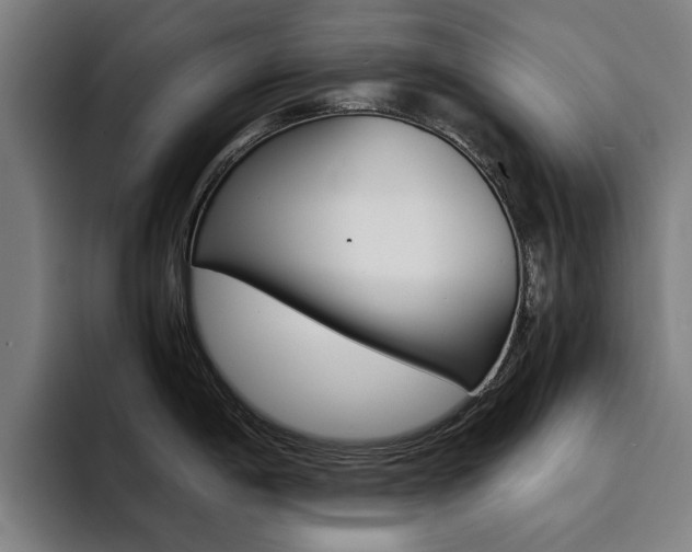 X0000094431198200711081012