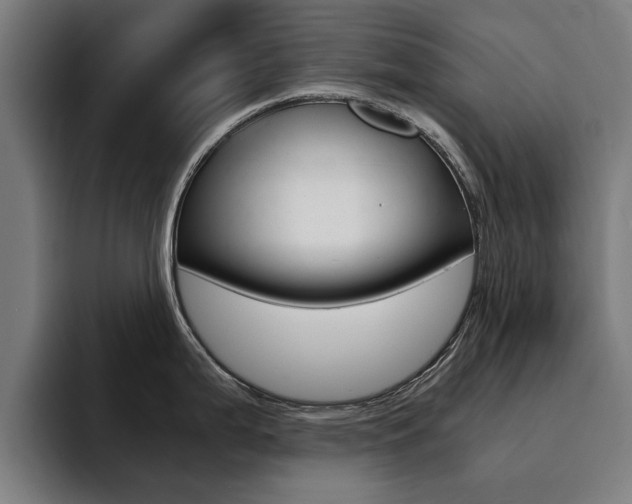 X0000094431199200711081012