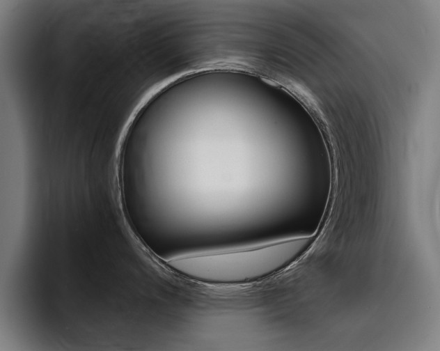 X0000094431200200711081012