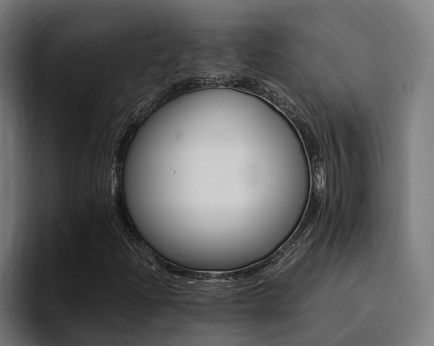 X0000094431204200711081012