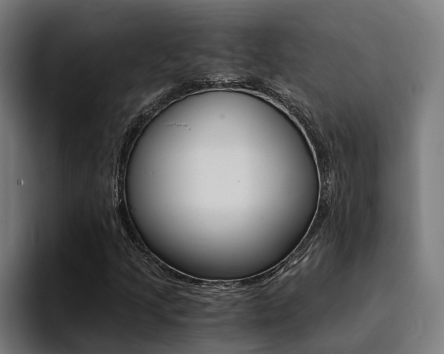 X0000094431205200711081012
