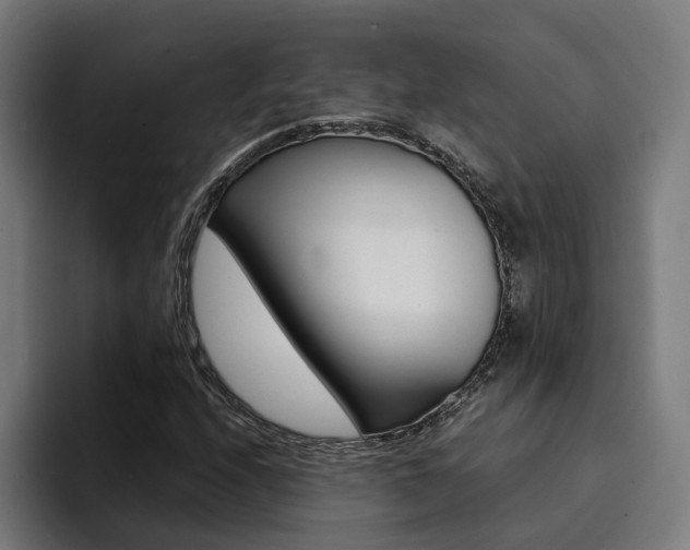 X0000094431208200711081012