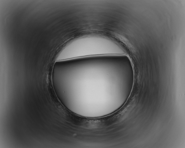 X0000094431209200711081012